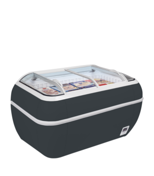 TEFCOLD DUPLA 2.2DE HC RAL7016 Supermarket Freezer